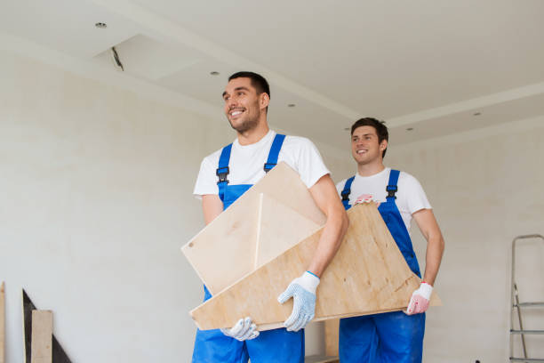 Best Demolition Debris Removal  in Monroe, MI