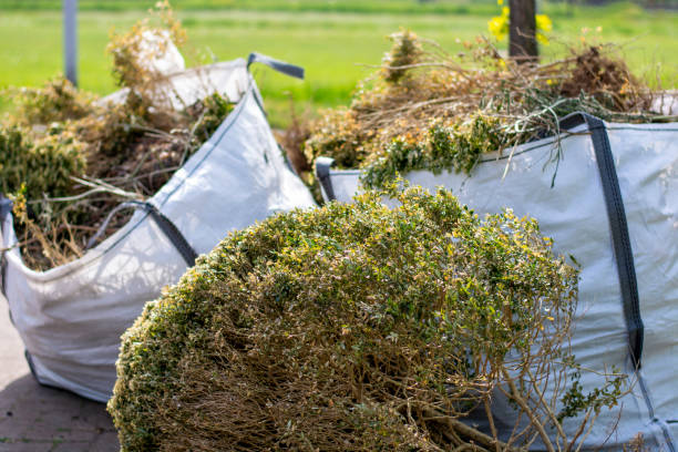 Best Shed Removal  in Monroe, MI
