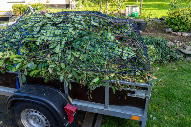 Best Shed Removal  in Monroe, MI